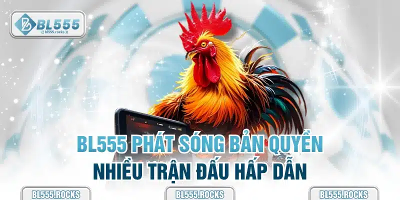BL555 phát sóng bản quyền nhiều trận đấu hấp dẫn
